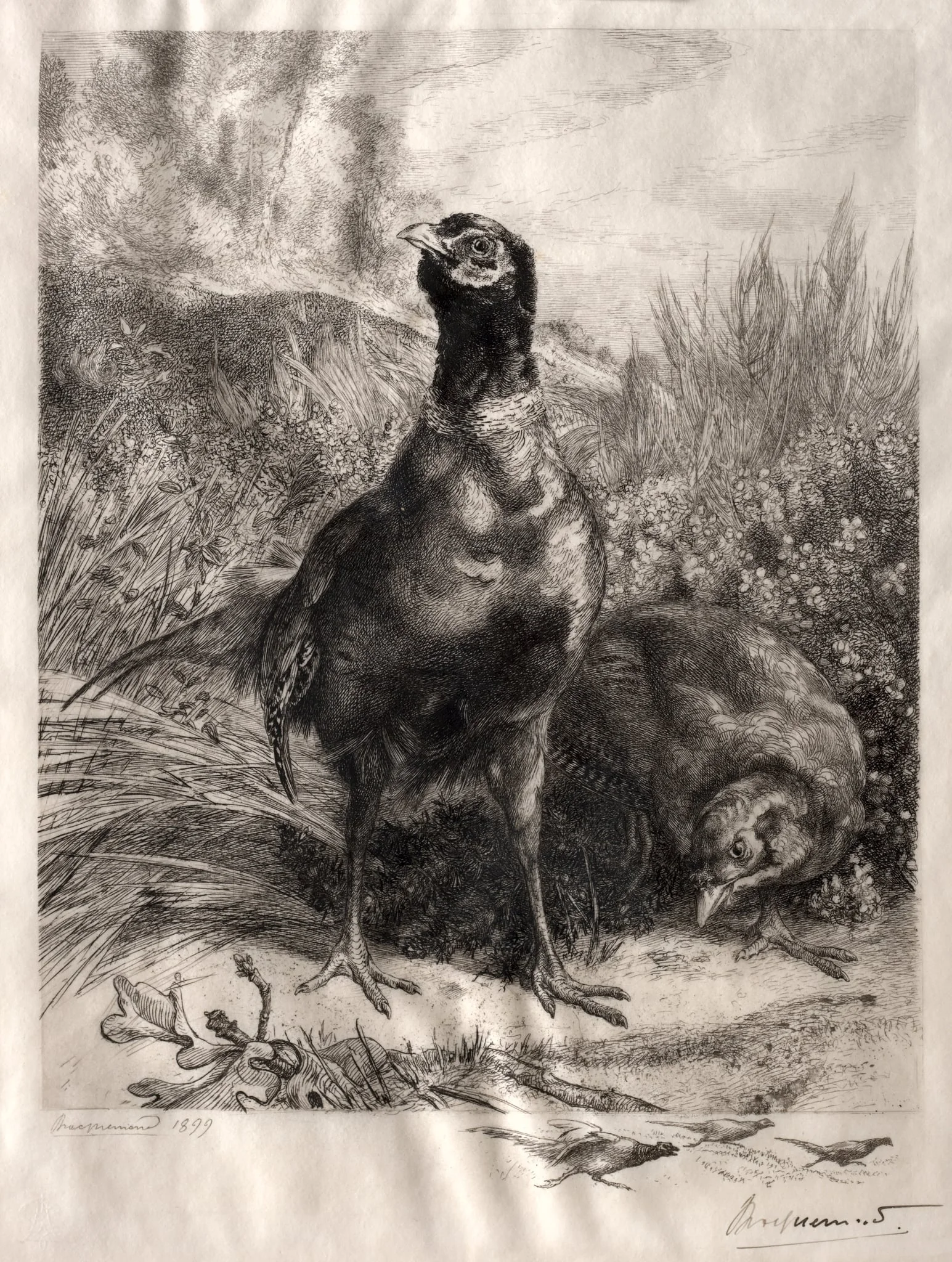 The Pheasants