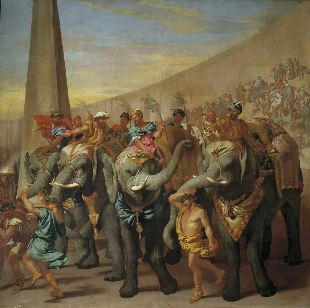 Elephants in a circus