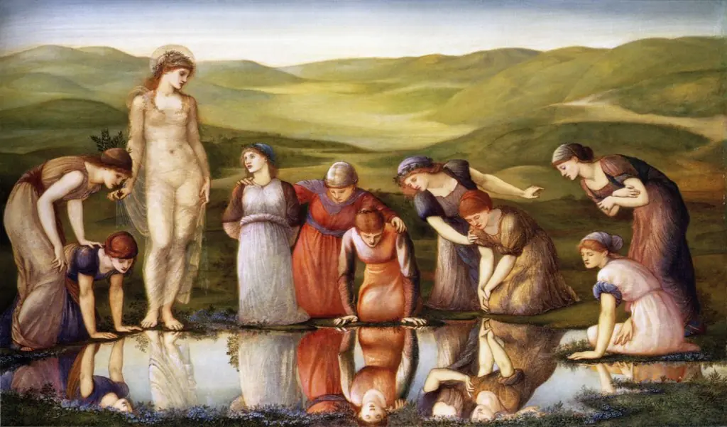 The Mirror of Venus