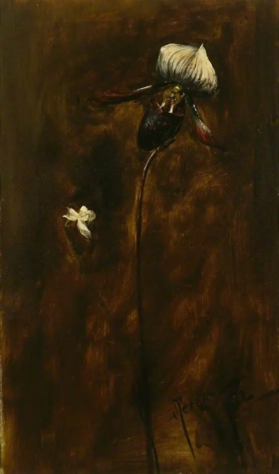 Study of two Flowers