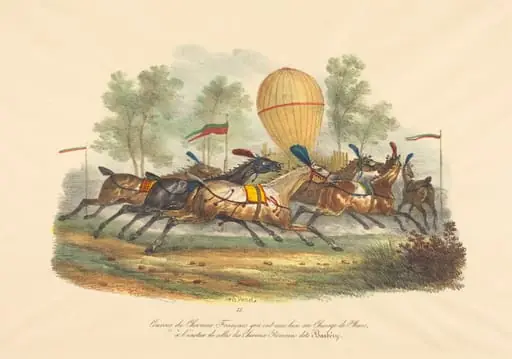 French Race Horses