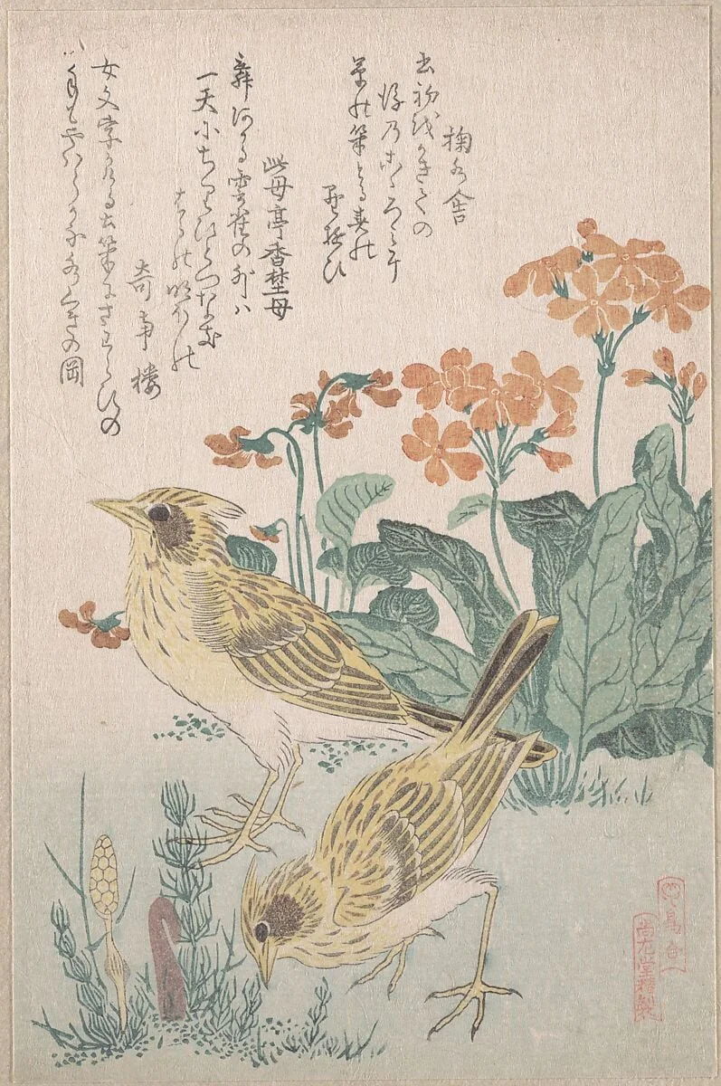 『鳥合』　桜草に雲雀|Skylarks and Primroses,” from the Series An Array of Birds (Tori awase), from Spring Rain Surimono Album (Harusame surimono-jō, vol. 3), by Kubo Shunman, ink, 1808