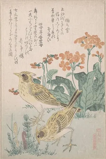『鳥合』　桜草に雲雀|Skylarks and Primroses,” from the Series An Array of Birds (Tori awase), from Spring Rain Surimono Album (Harusame surimono-jō, vol. 3)