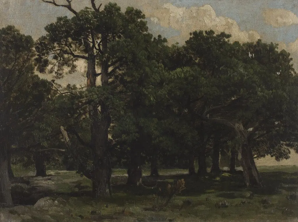 Pines