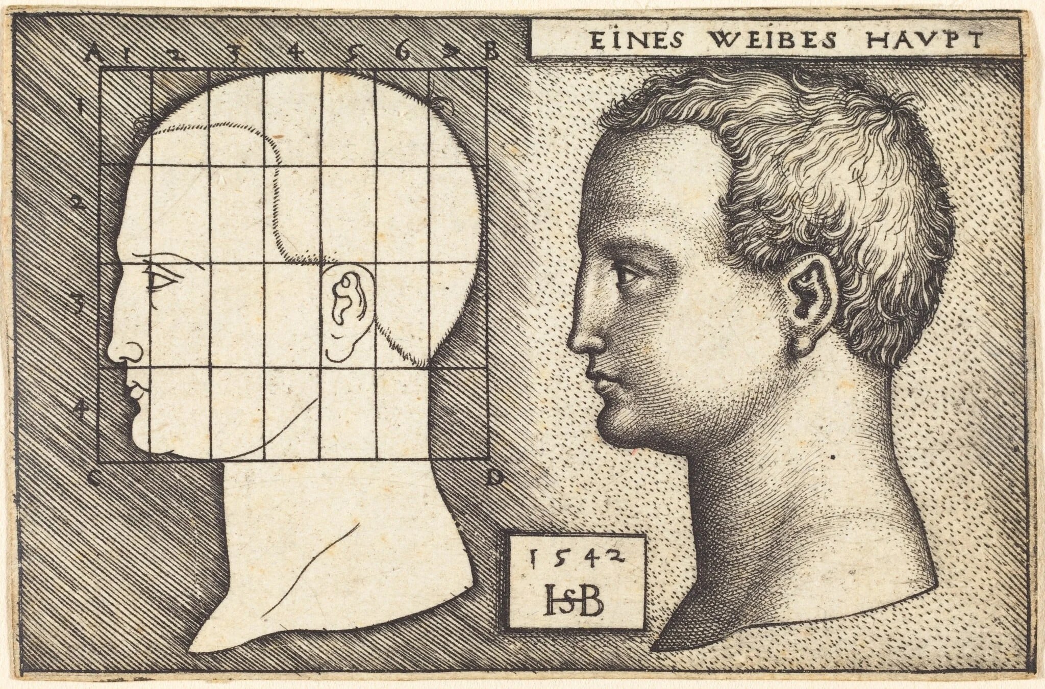 Two Profile Studies of a Woman's Head, by Sebald Beham, ink, 1542