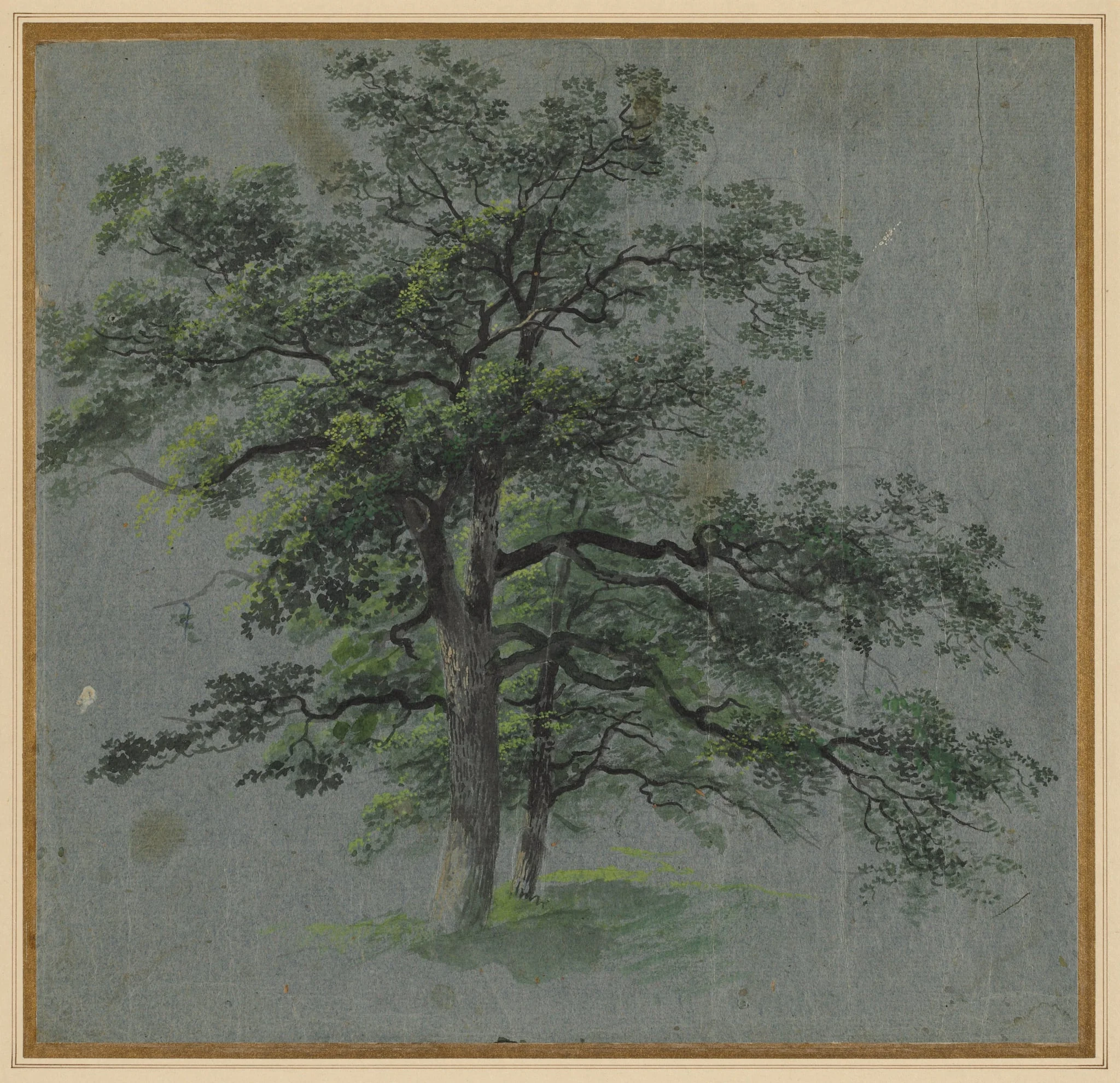 Two Trees (recto)
