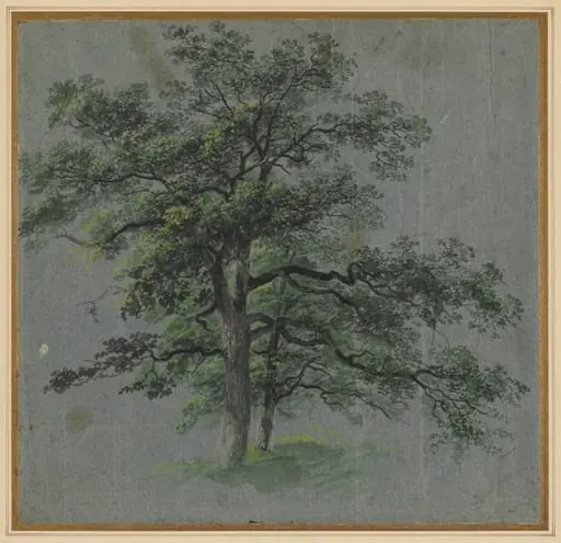 Two Trees (recto)