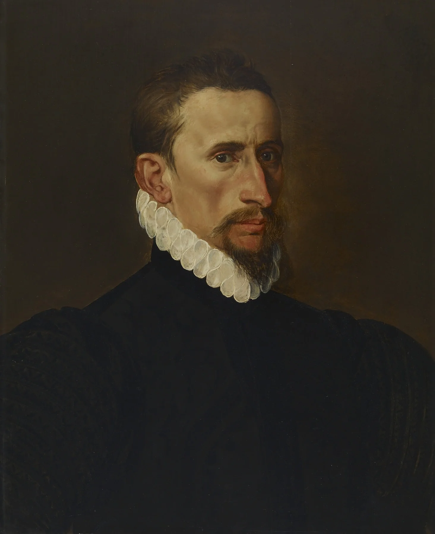 Portrait of a Gentleman, by Frans Floris, oil, 1560