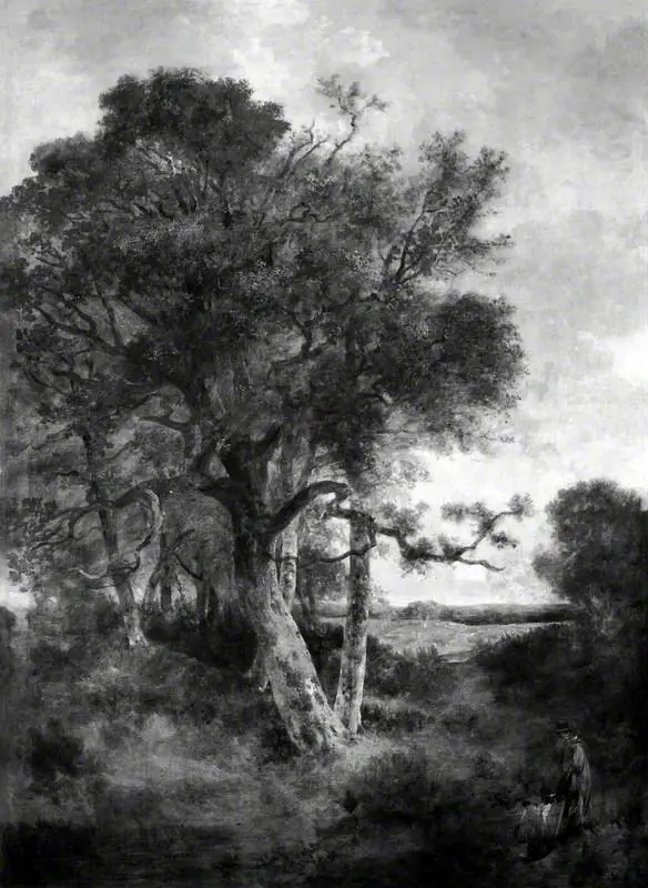 On the Skirts of the Forest