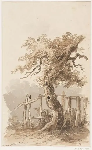 Study of trees
