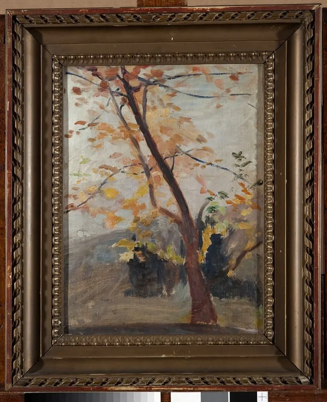 Tree sketch – Massandra. From the journey to Crimea