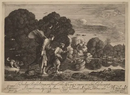 Tobias and the Angel (The Little Tobias)
