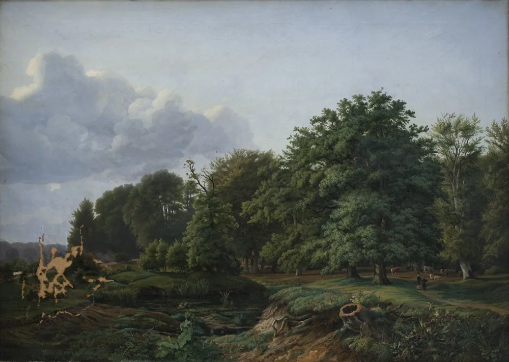 A Forrest near Hellebæk in the North of Zealand. Afternoon.