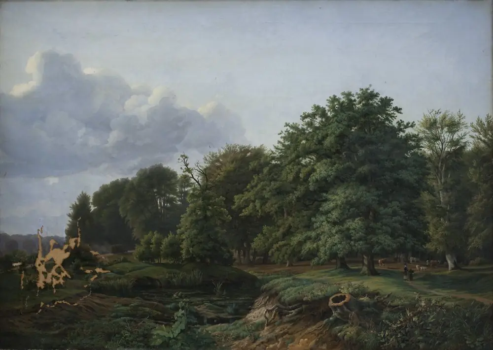 A Forrest near Hellebæk in the North of Zealand. Afternoon.