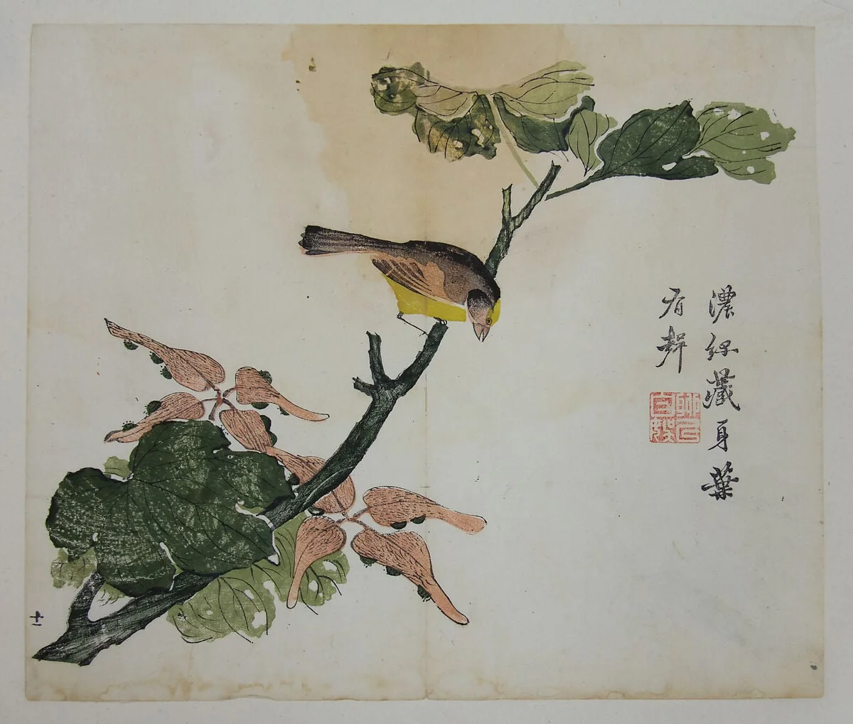 芥子園畫傳|Seeds and Aleurities Cordata (?): Page from The Mustard Seed Garden Manual of Painting (Jieziyuan huazhuan), by Dao Cheng, ink, 1782