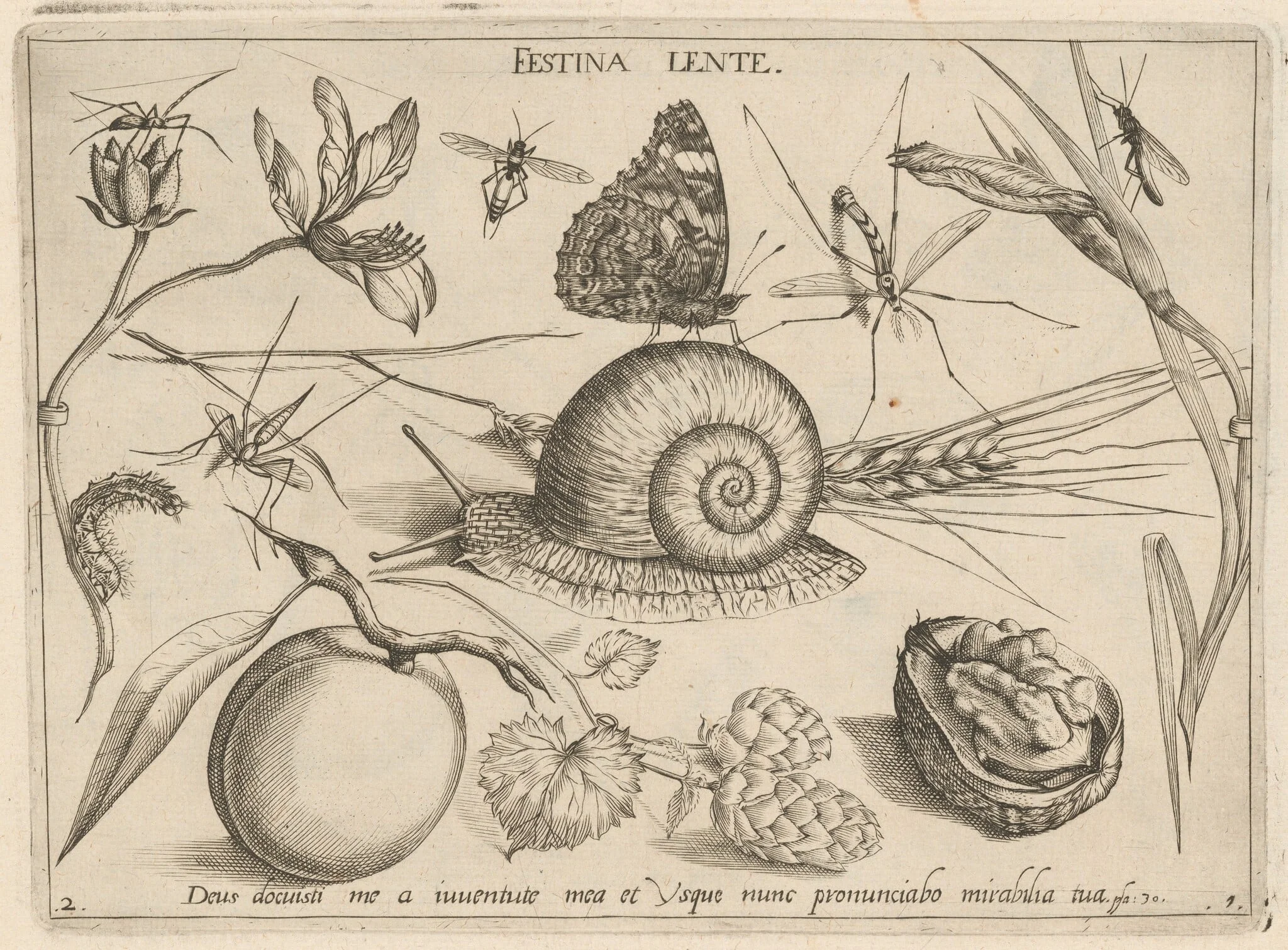 Archetypa studiaque patris Georgii Hoefnagelii [Part 1, Plate 2], by Jacob Hoefnagel, ink, 1592