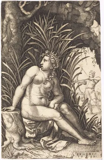 Procris