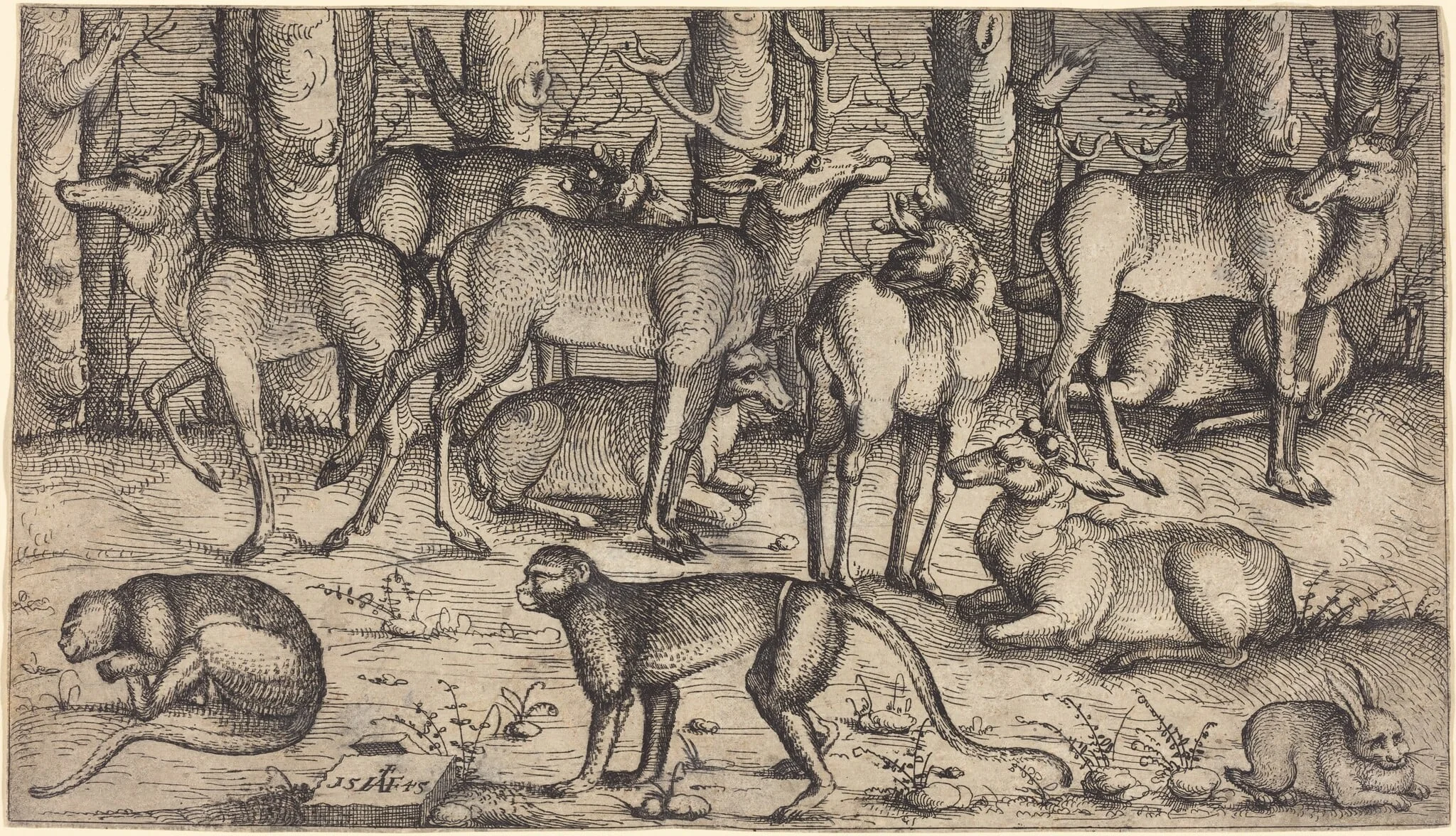 Stags in the Forest, by Augustin Hirschvogel, ink, 1545