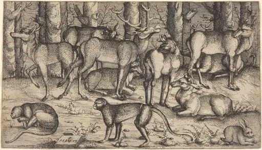 Stags in the Forest
