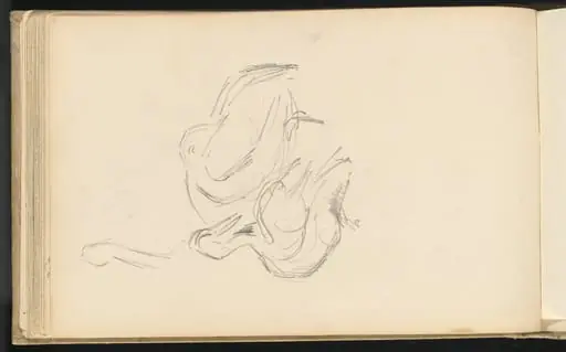 Pelicans