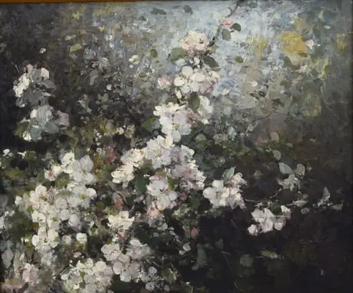Flori de măr