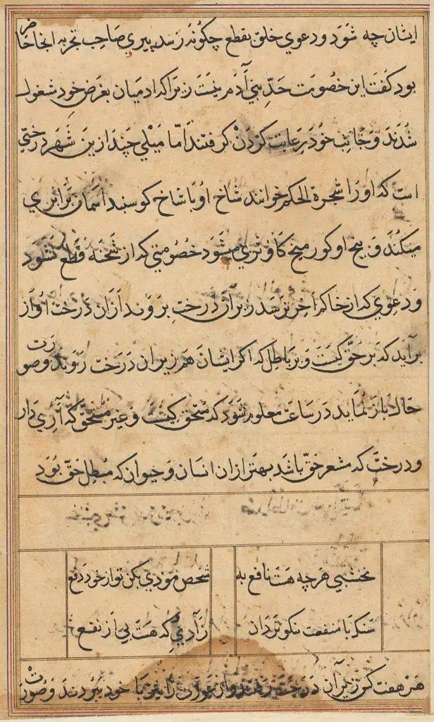 Page from Tales of a Parrot (Tuti-nama): text page