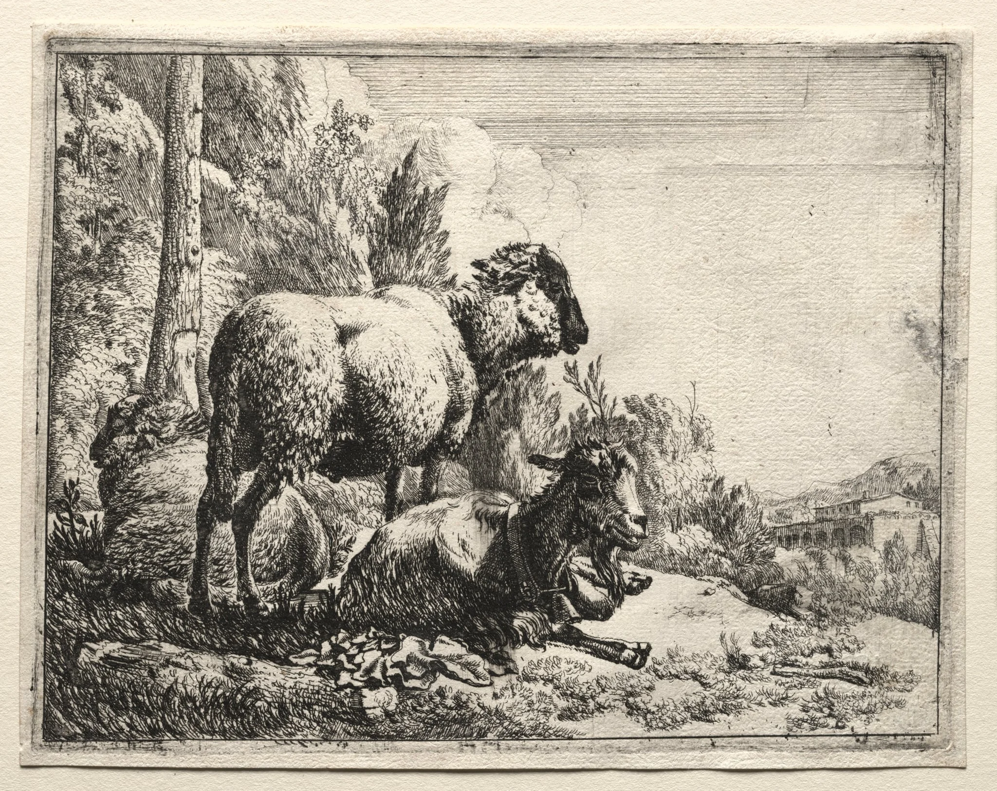 Goat with Bell, by Johann Heinrich Roos, 1665