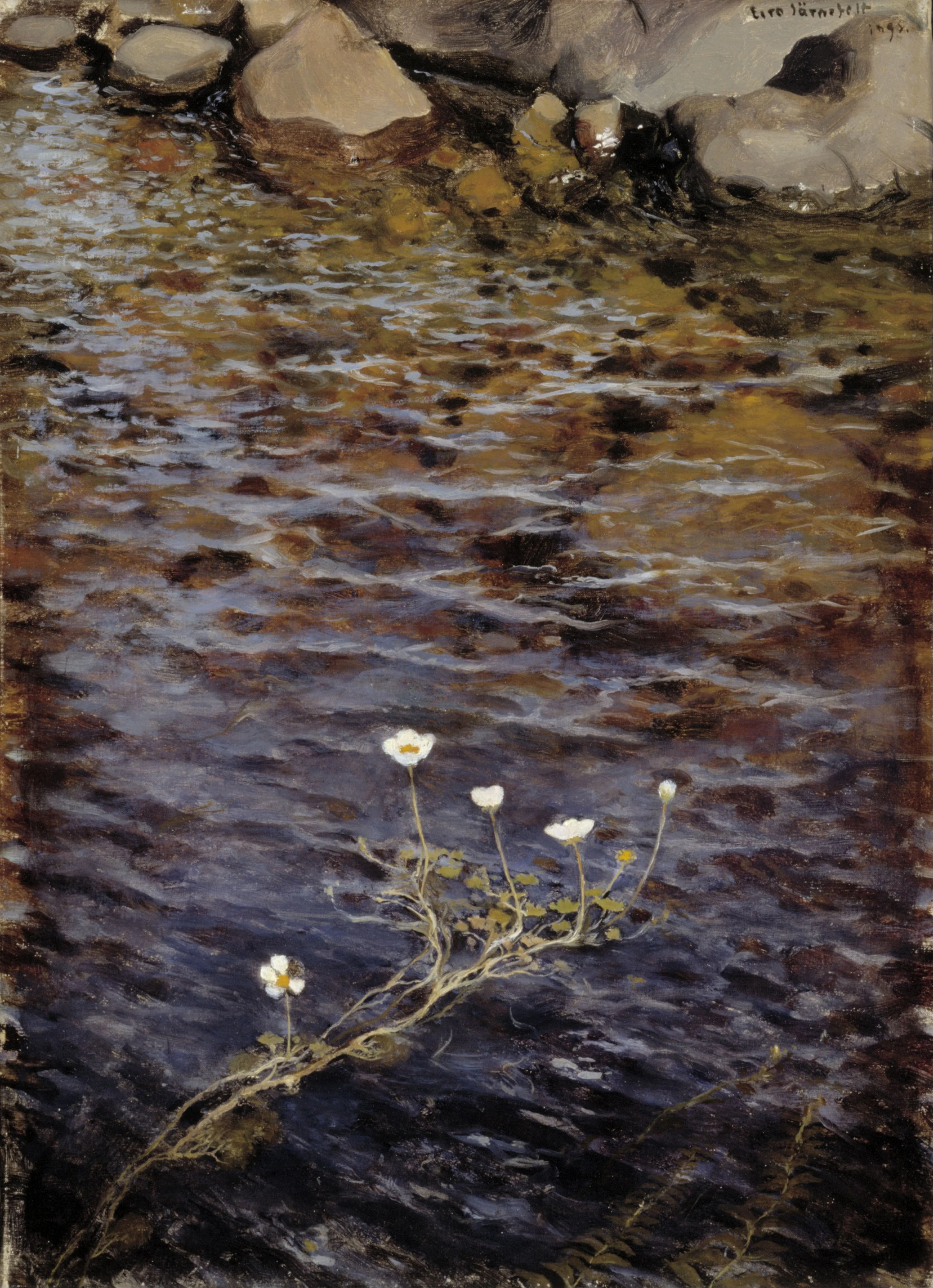 Pond Water Crowfoot ; Pond Weed, by Eero Järnefelt, oil, 1898