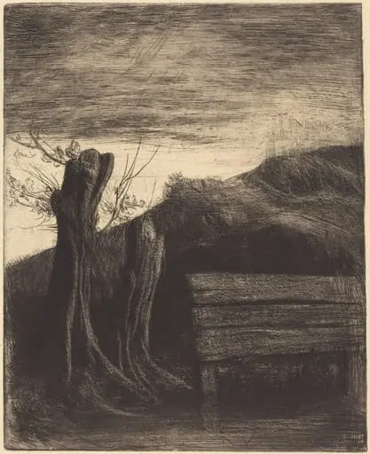 Pollard Willows (Les saules tetards)