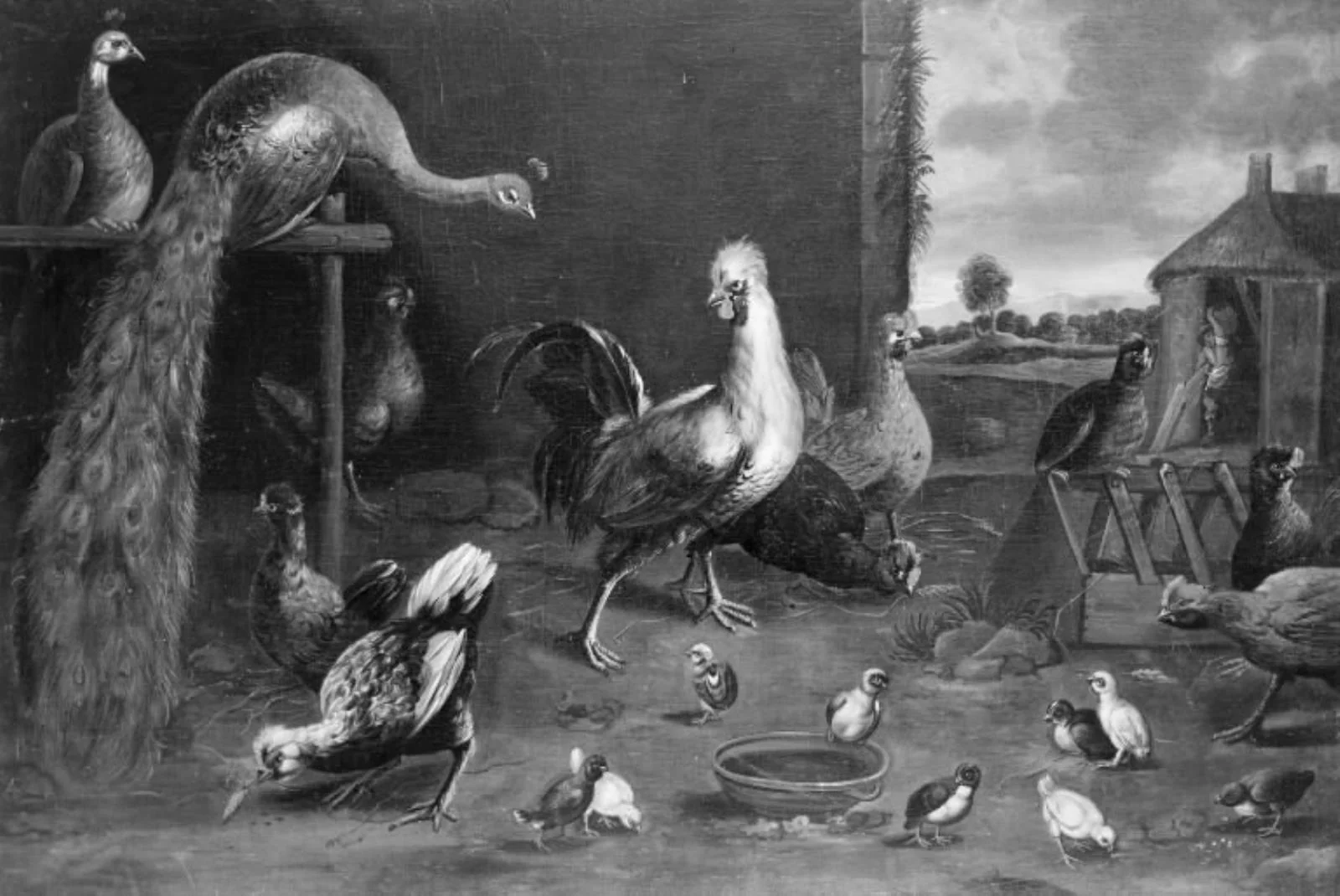 Mellem høns, haner og kyllinger, ses et par påfugle, by Unknown, oil