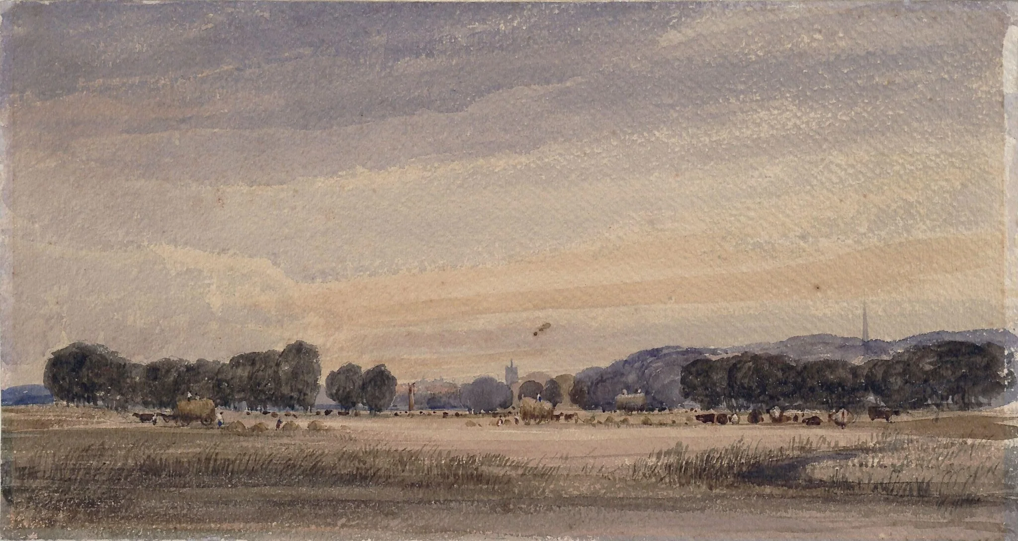 Fields near Norwich