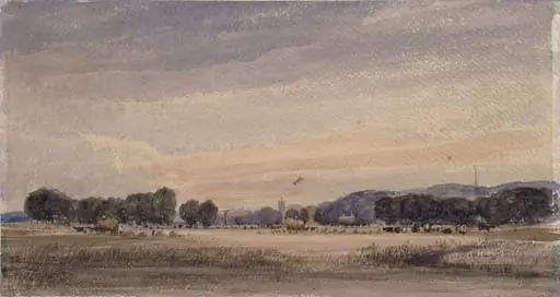 Fields near Norwich