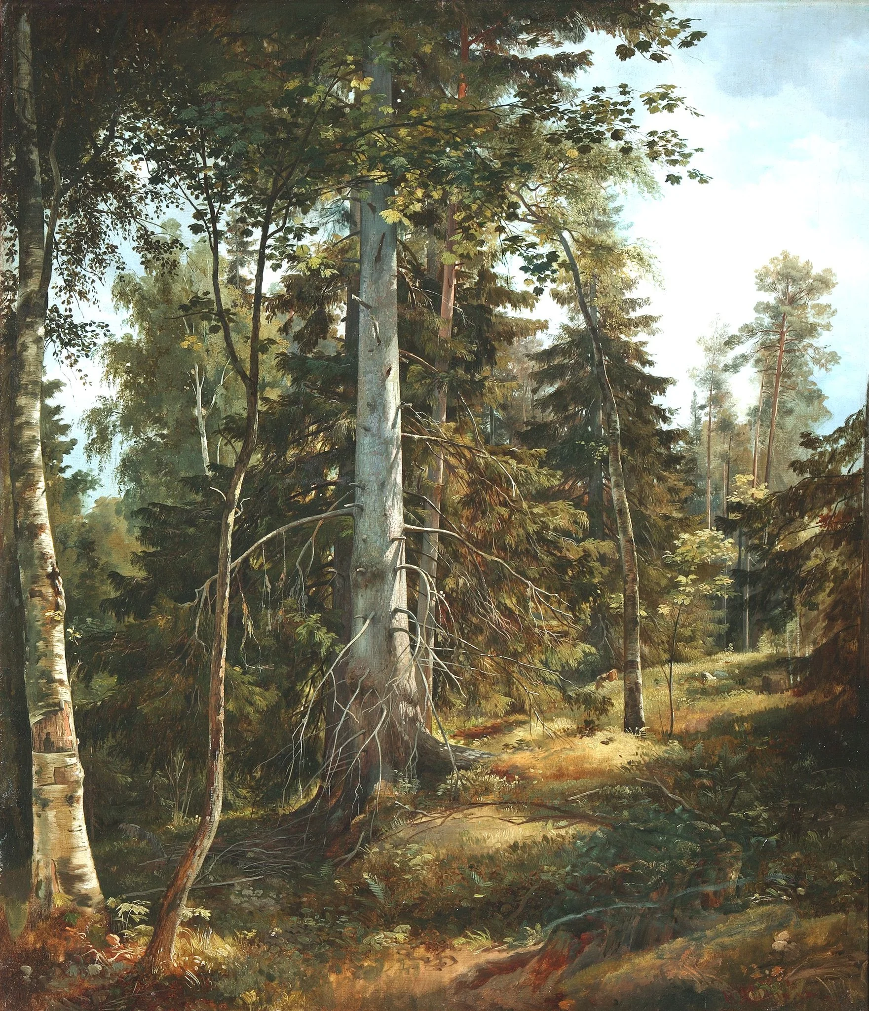 Forest Thicket