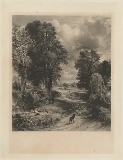 The Cornfield