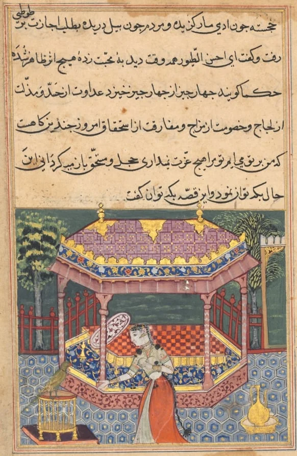 The parrot addresses Khujasta at the beginning of the thirty-seventh night, from a Tuti-nama (Tales of a Parrot), by Unknown, unspecified, 1560