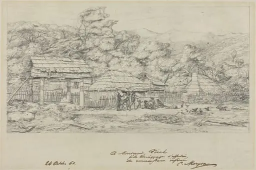 Greniers indigenes et habitations a Akaroa, presqu'Ile de Banks