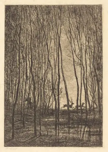 Deer in the Woods (Les Cerfs sous bois)