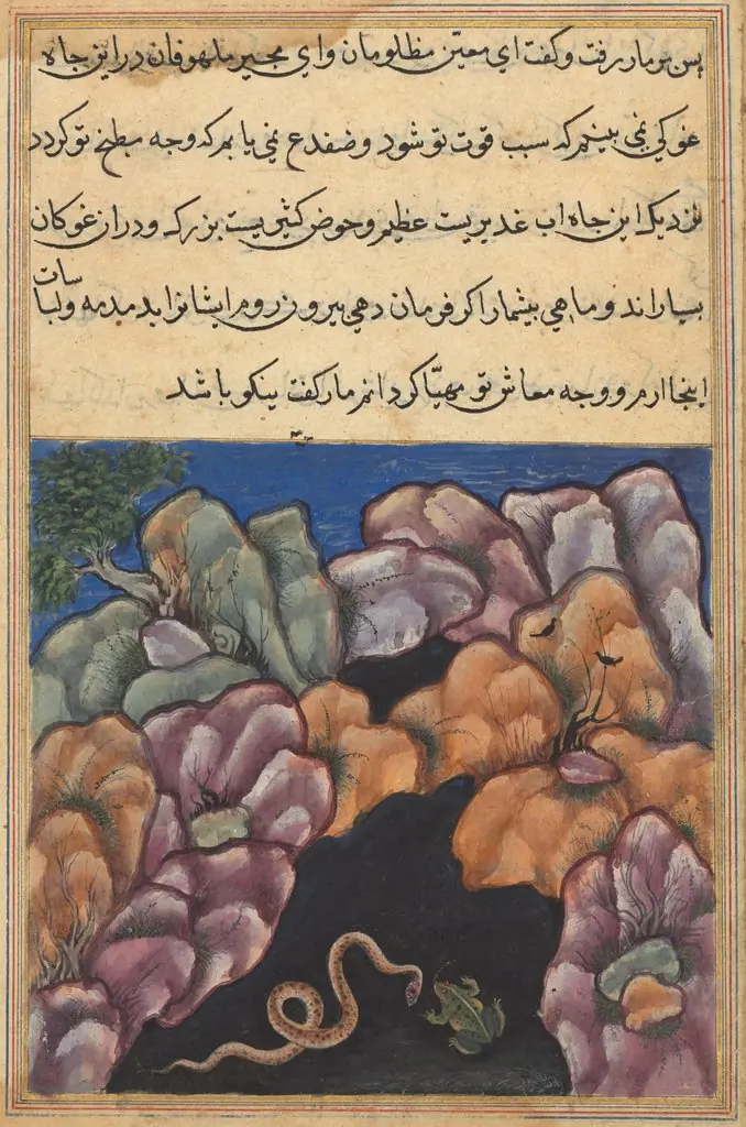 The snake enters into an argument with the frog, from a Tuti-nama (Tales of a Parrot): Twenty-sixth Night