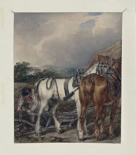 The Ploughman