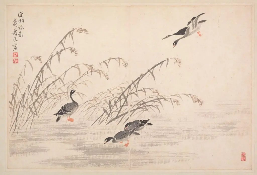 Album of Calligraphy and Paintings