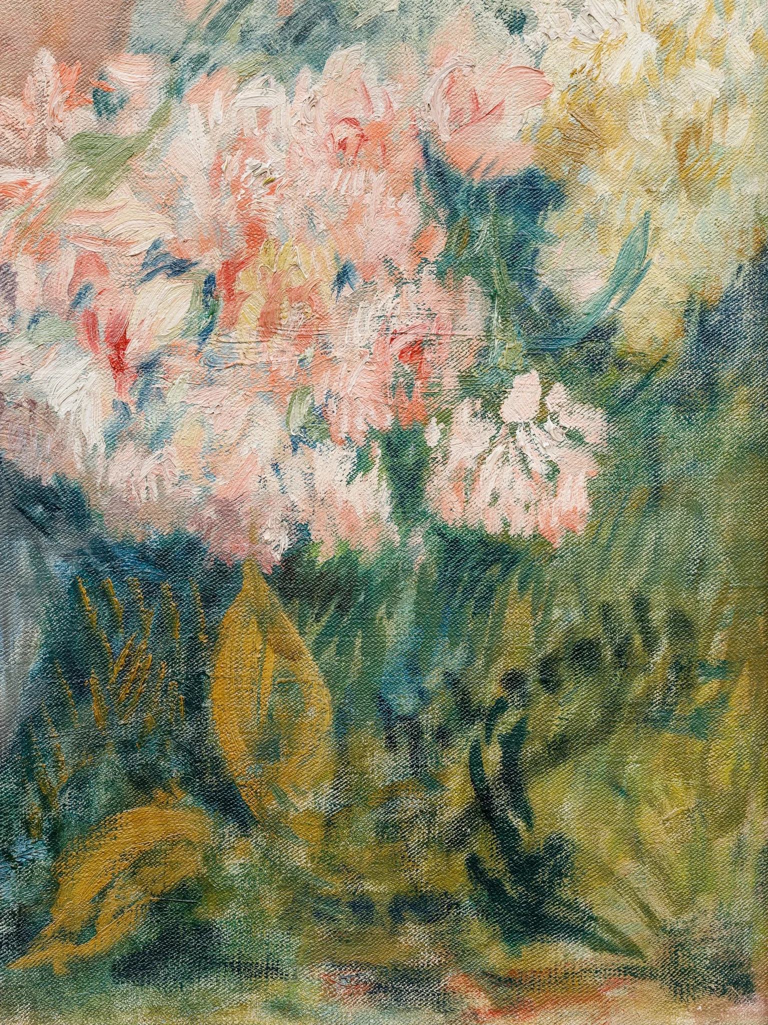 Flora