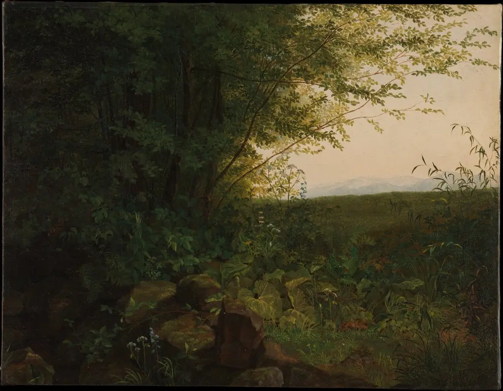 At the Edge of the Forest