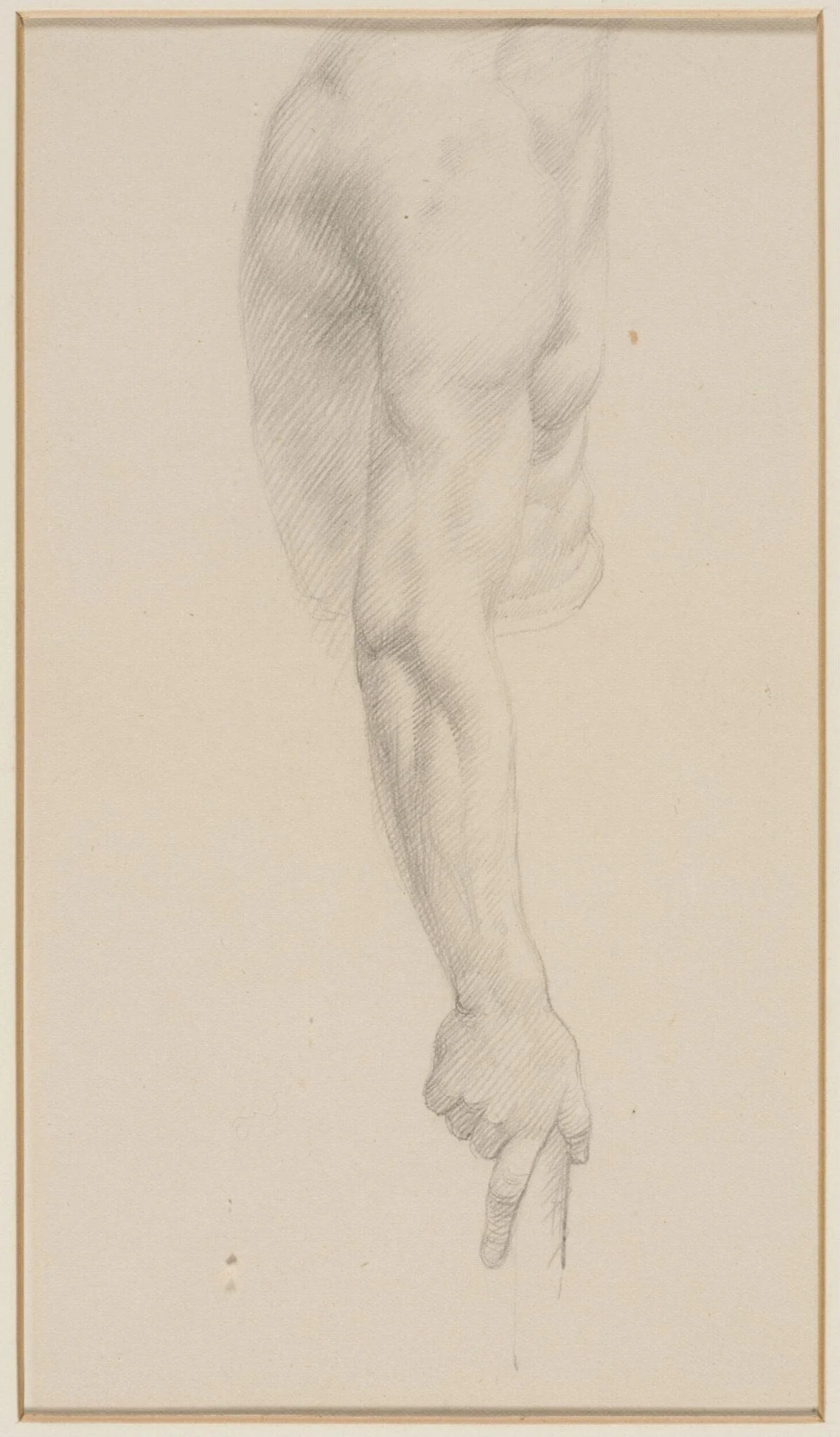 Arm