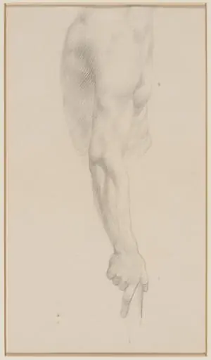 Arm