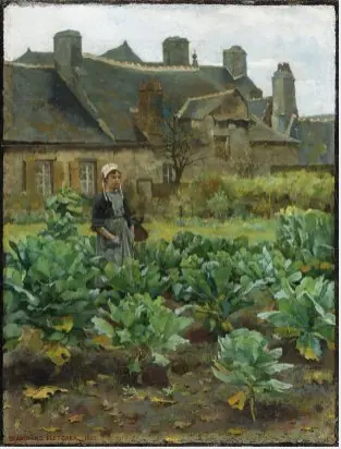 The Kitchen Garden in November