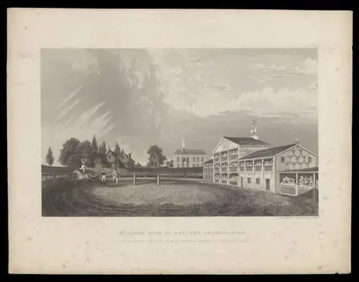 H Beard Print Collection