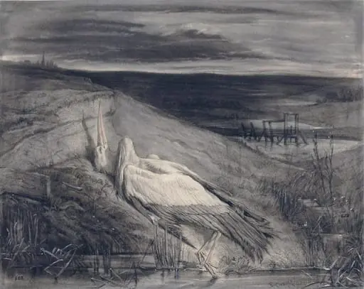 A dead stork on the bank of a stream