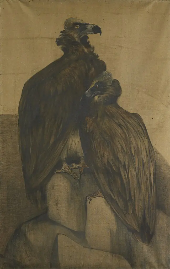 Two Arabian Vultures