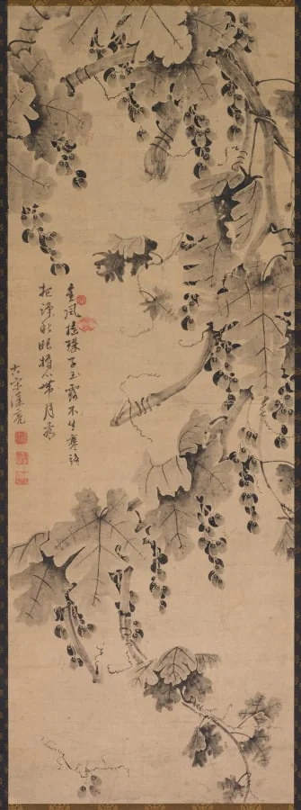 Grapevine, by Unknown, unspecified, 1800