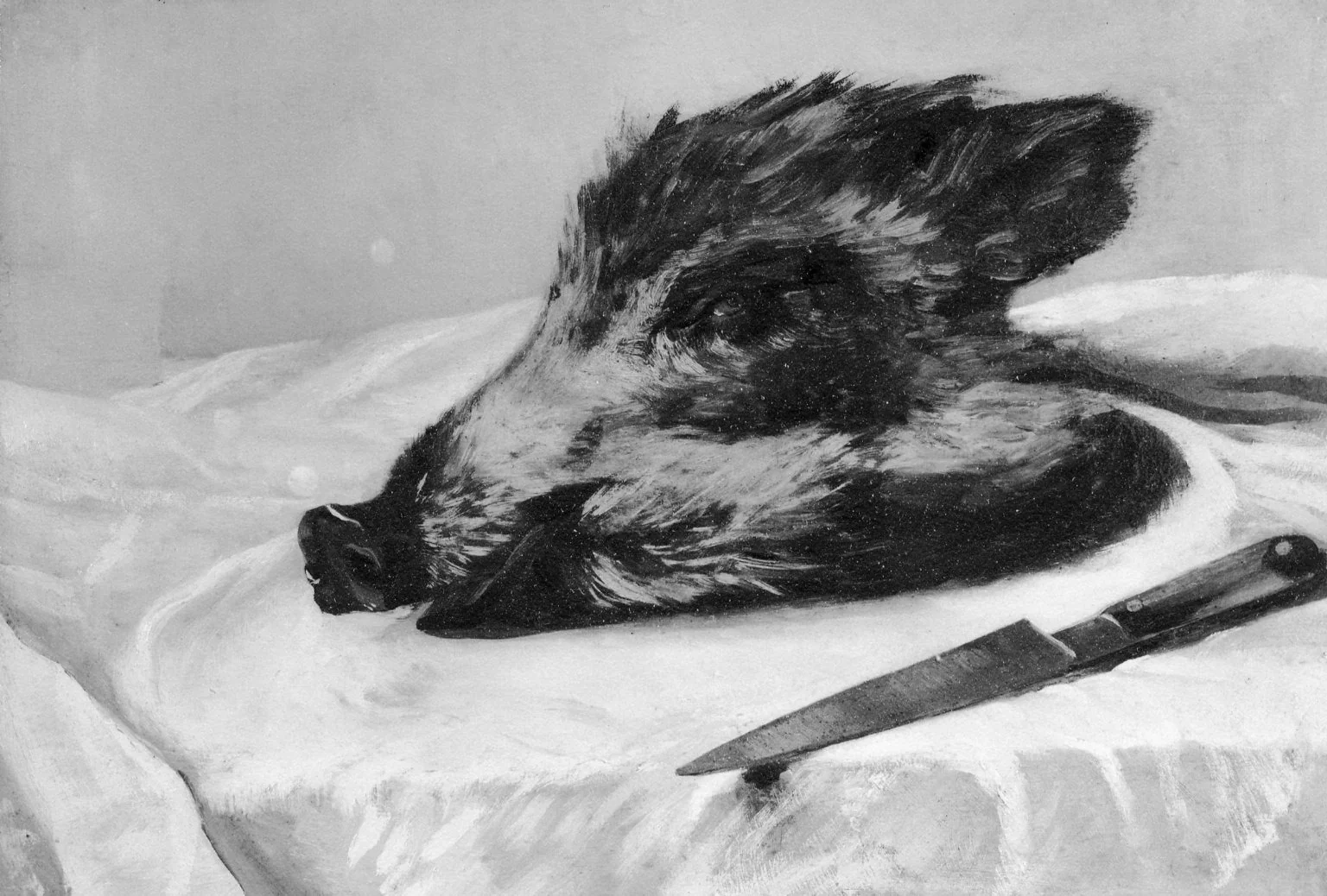 Tête de sanglier, by Gustave Courbet, oil, 1858